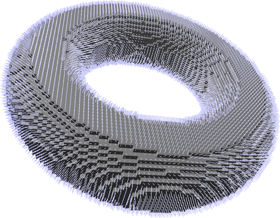 Estimated normals on a digitization of a torus